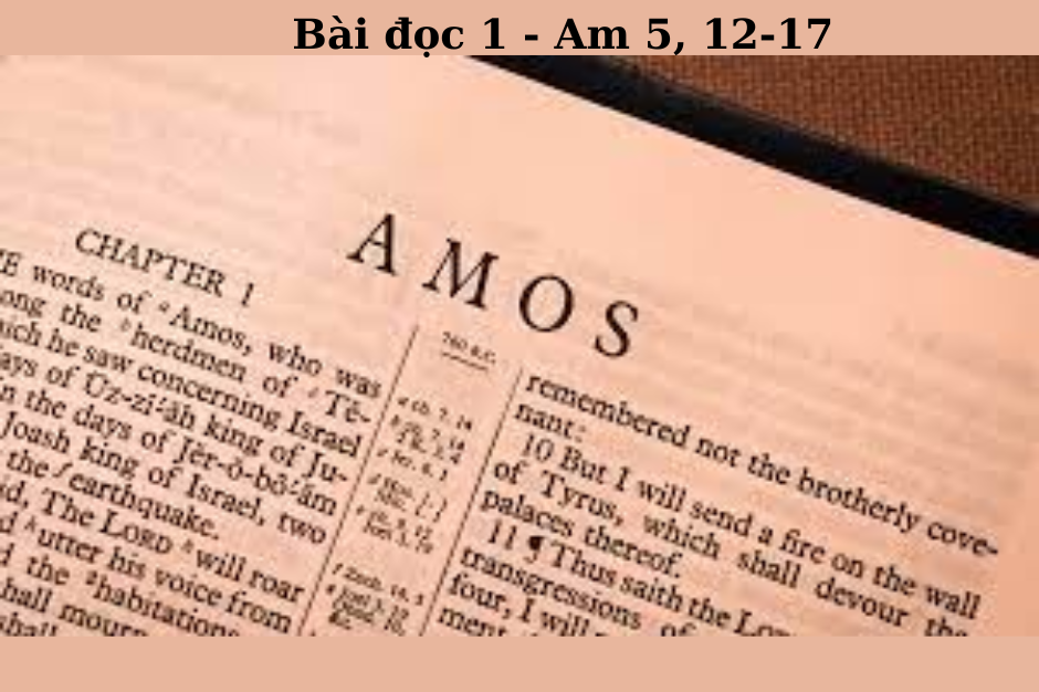 Suy niệm BĐ1 - CN XV thường niên năm B -  Am 5, 12-17 - Hãy nói tiên tri
