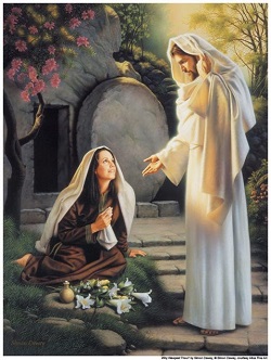 Daily Meditation: ``Mary of Magdala went and announced to the disciples, I have seen the Lord``