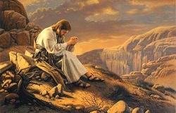 Daily Meditation: ``Jesus went out into the hills to pray, spending the whole night in prayer with God``