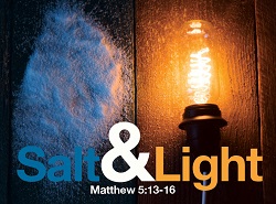 Daily Meditation: ``You are the salt of the earth. You are the light of the world``