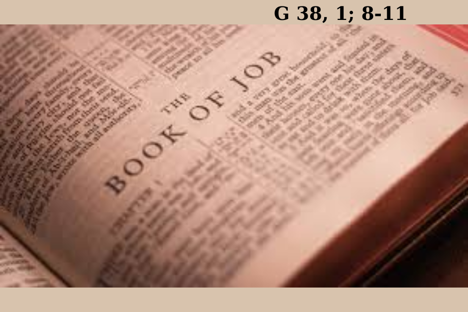 Suy niệm BĐ1 - CN XII thường niên năm B - G 38, 1; 8-11 - Đấng Toàn Năng