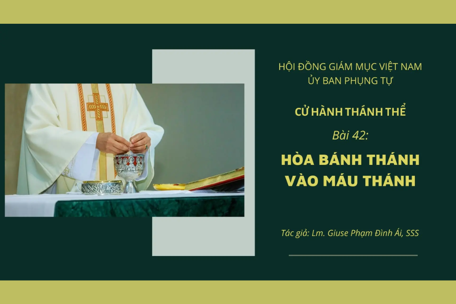 Cử hành Thánh Thể: Bài 42 - Hòa Bánh Thánh vào Máu Thánh