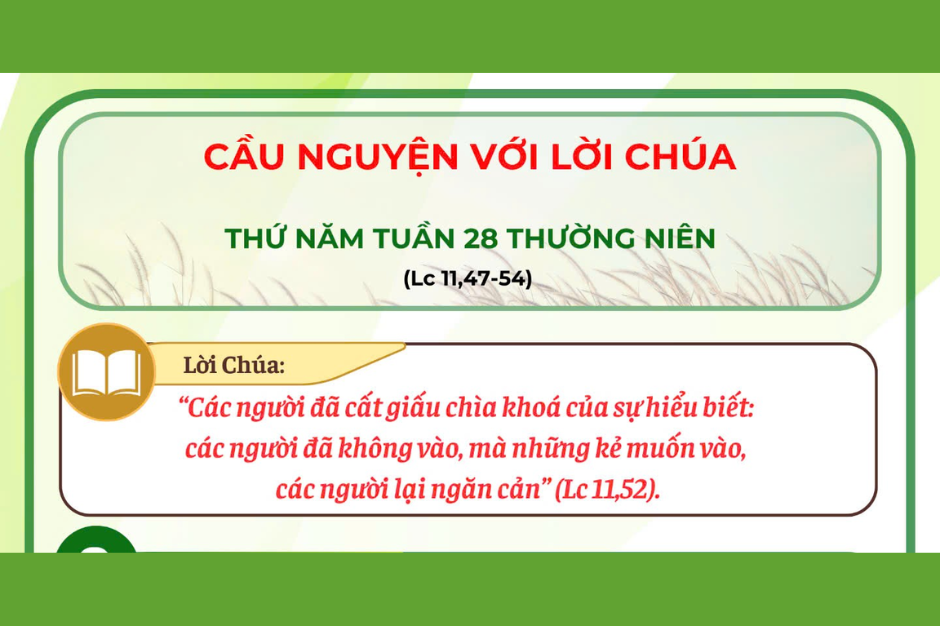 Cầu nguyện với Lời Chúa - Thứ Năm tuần 28 thường niên