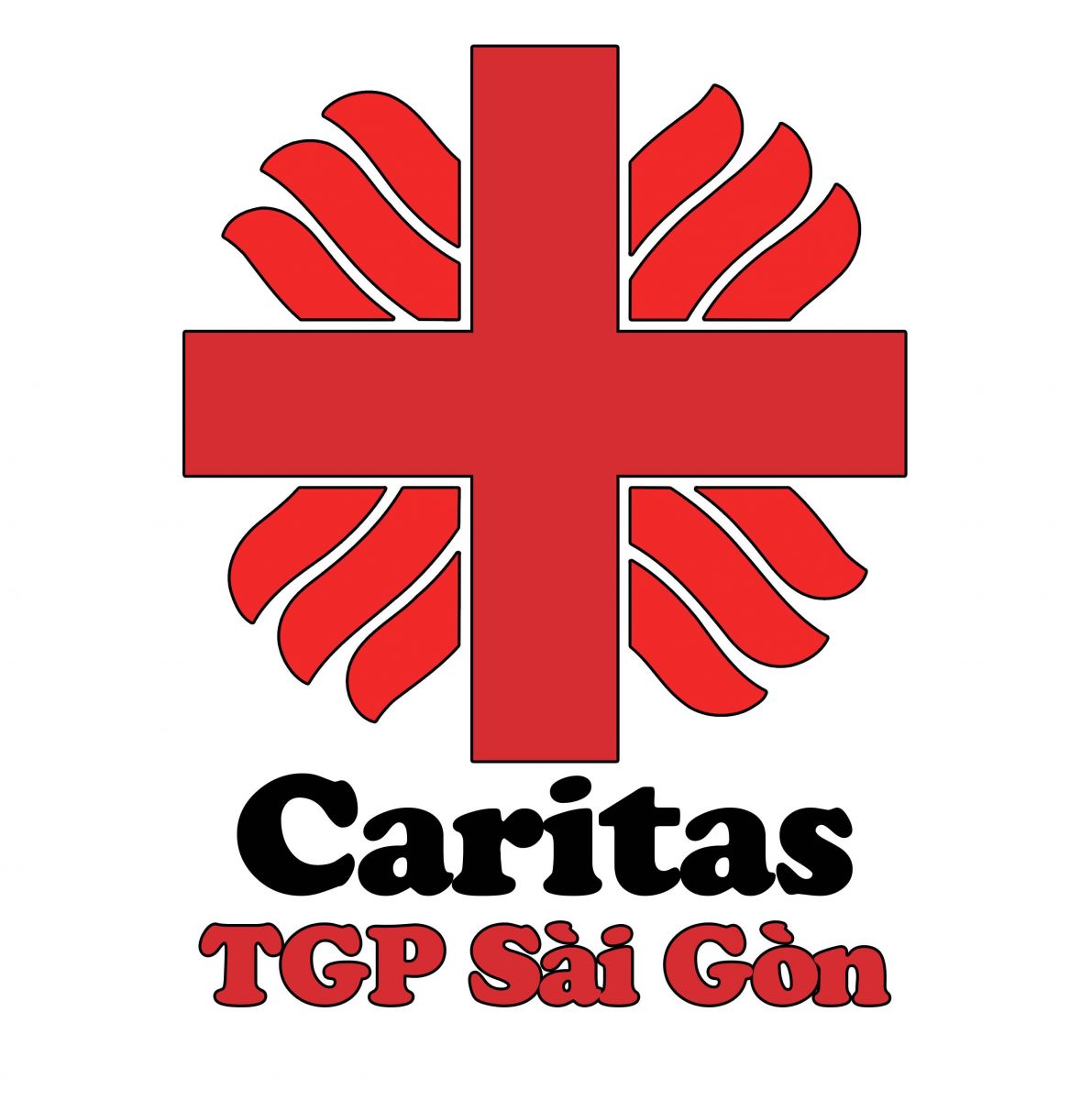 Caritas: Chương Trình Hỗ Trợ Học Bổng - Bảo Hiểm Y Tế - Nhà Tình Thương