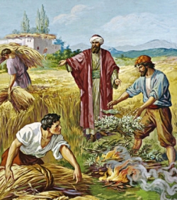 Daily Meditation:  ``Explain to us the parable of the weeds in the field``