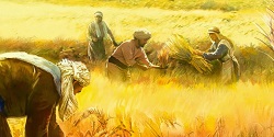 Lên đường, đi gặt lúa