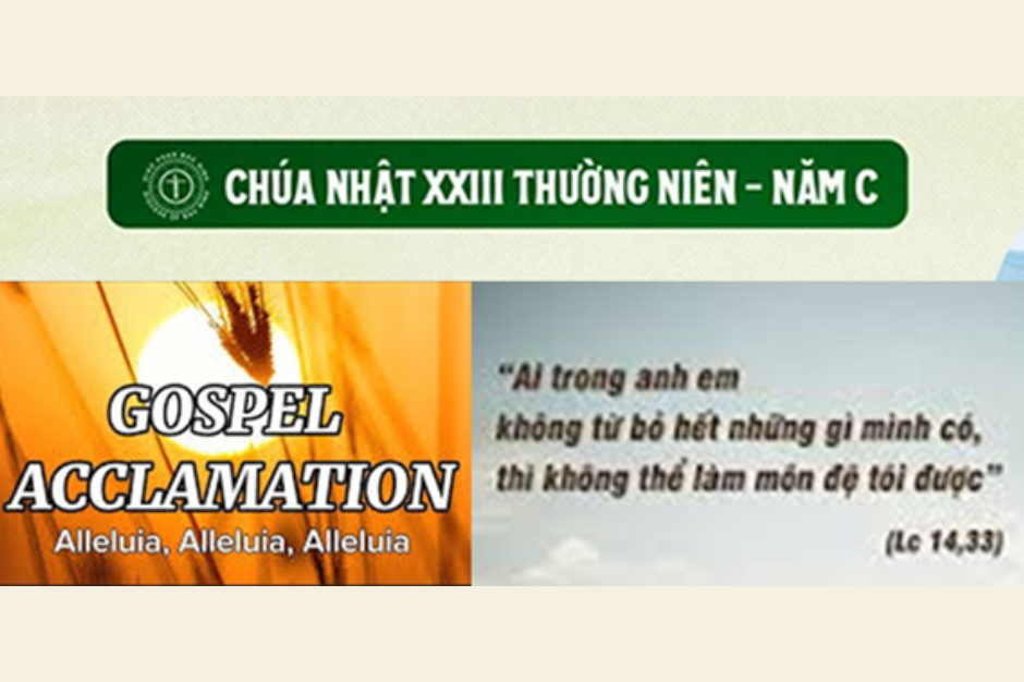 Câu Tung Hô Tin Mừng