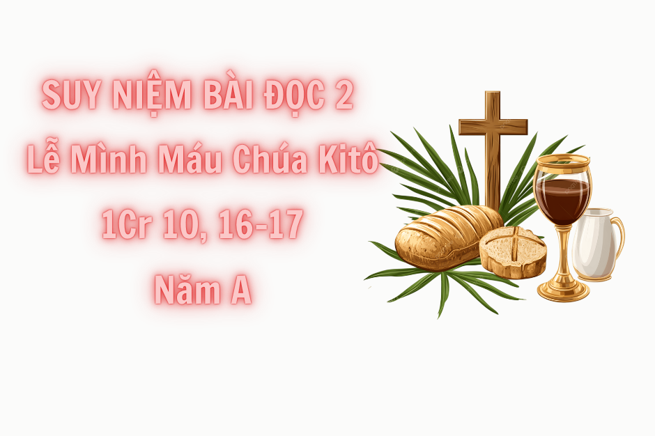 Suy niệm Bài đọc 2 - Lễ Mình Máu Thánh Chúa Kitô năm A - 1Cr 10, 16-17 - Giao ước được nên trọn