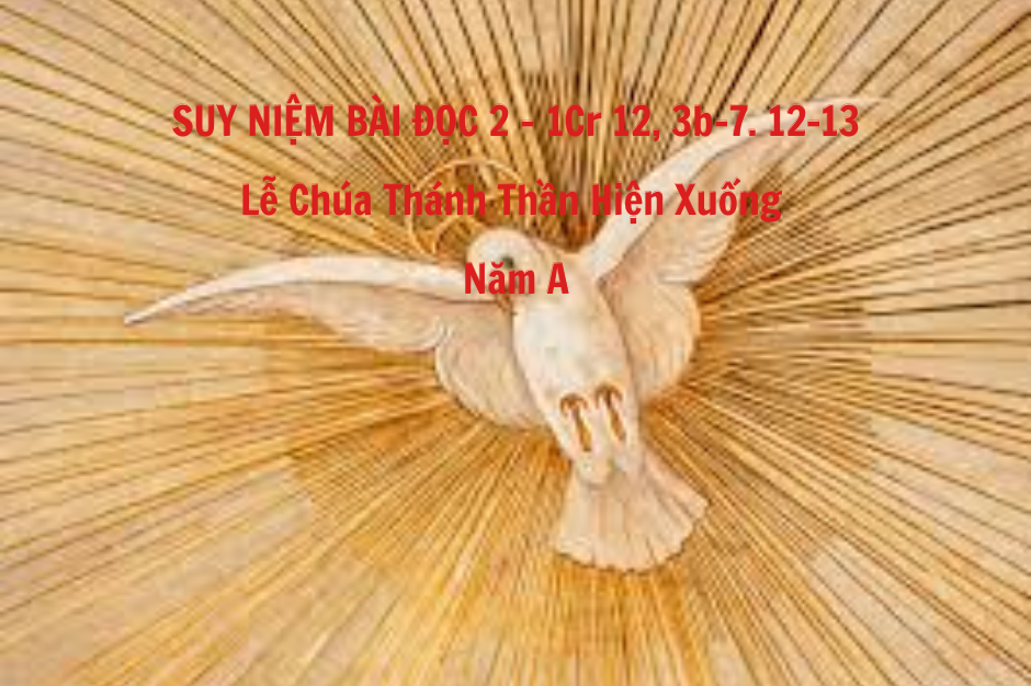 Suy niệm Bài đọc 2 - Lễ Chúa Thánh Thần hiện xuống - năm A - 1Cr 12, 3b-7. 12-13 - Thần khí Tình yêu