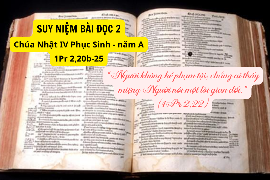 Suy niệm Bài đọc 2 - Chúa Nhật IV Phục sinh năm A - 1Pr 2,20b-25 - Gương Đức Kitô