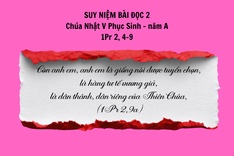 Suy niệm Bài đọc 2 - Chúa Nhật V Phục sinh năm A - 1Pr 2, 4-9 - Dự án của Thiên Chúa