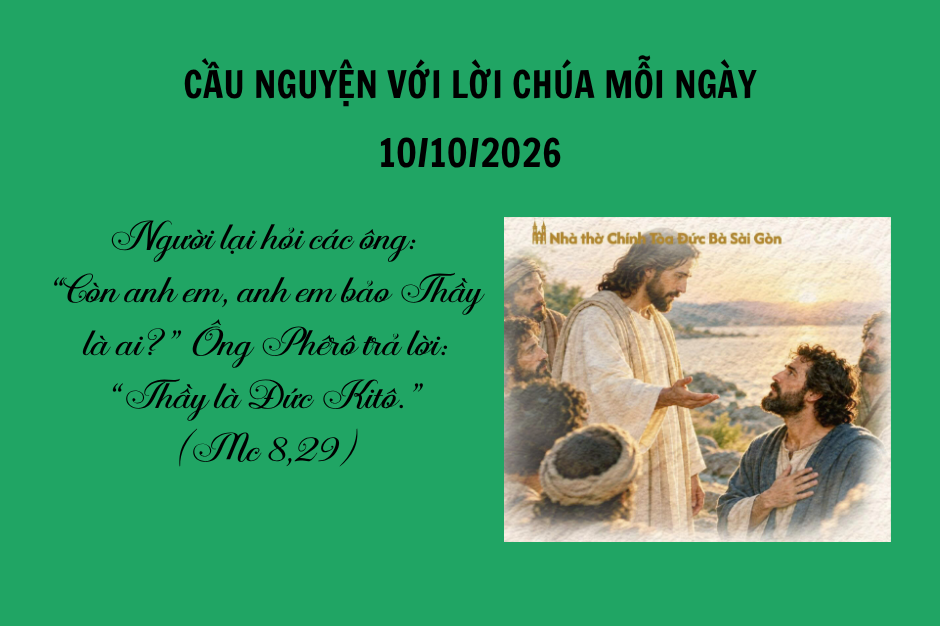 Amoris Laetitia: “Chúng ta có nhiều điều cần đón nhận và học hỏi” từ các gia đình