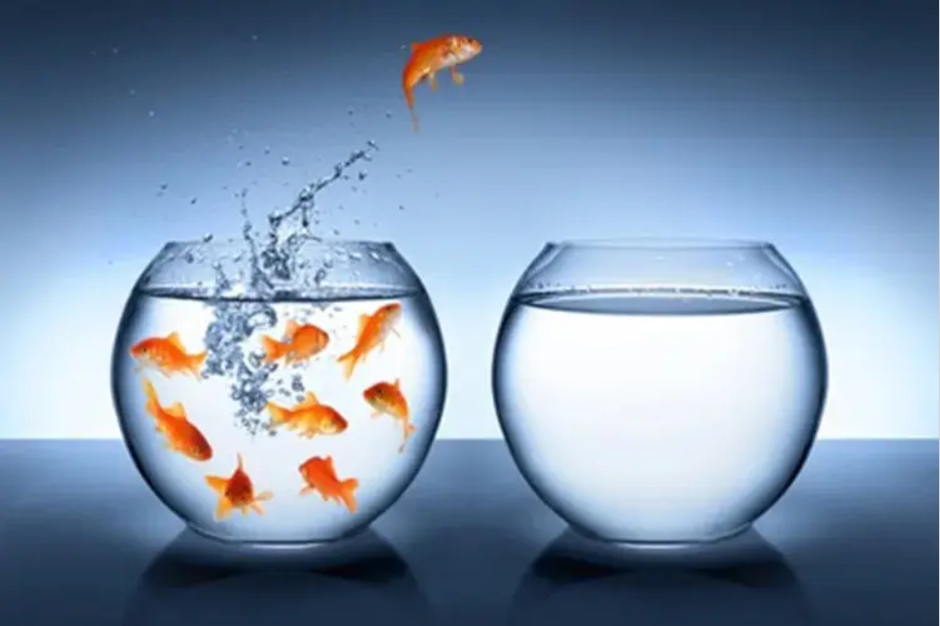 Ba bí quyết để tự do hơn trên mạng xã hội