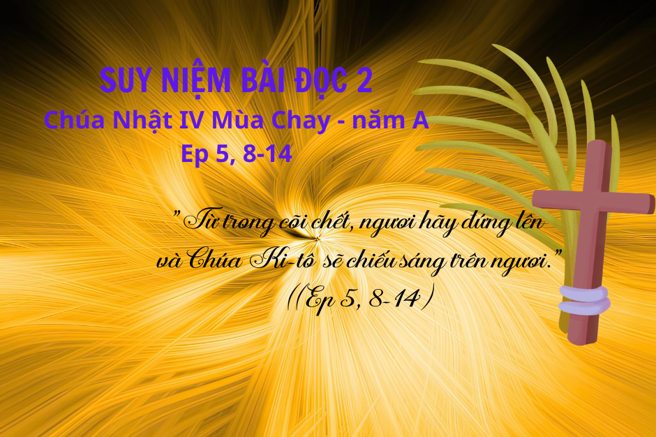 Suy niệm bài đọc II - Chúa Nhật IV Mùa Chay năm A - Ep 5, 8-14: Đời sống mới