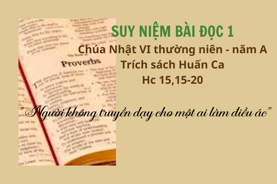 Suy niệm bài đọc I - Chúa Nhật VI thường niên năm A - Hc 15, 15-20: Hãy trung tín