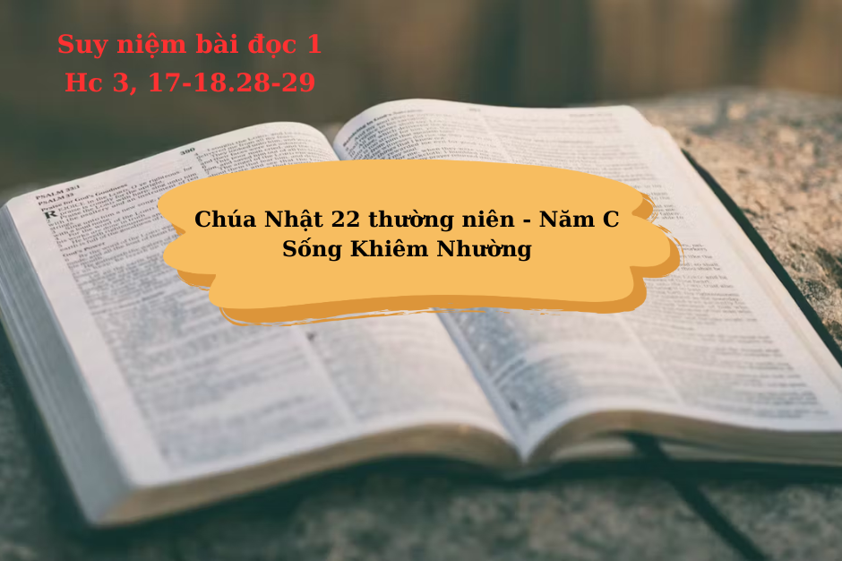 Suy niệm Bài đọc 1 - Chúa Nhật XXII thường niên năm C - Hc 3, 17-18.28-29 - Sống khiêm nhường