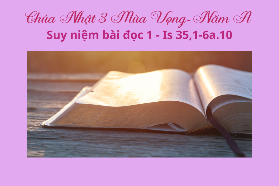 Suy niệm Bài đọc 1 - Chúa Nhật III Mùa Vọng năm A - Is 35,1-6a.10 - Đấng giải thoát