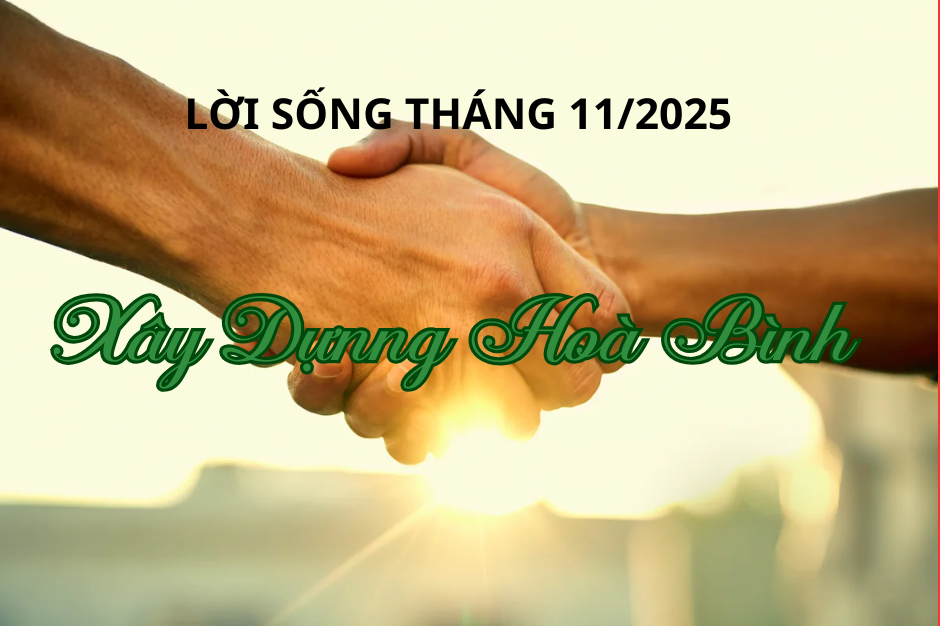 Lời sống tháng Mười Một 2025: Xây dựng hoà bình