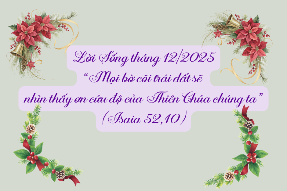 Lời sống tháng Mười Hai 2025: Ơn cứu độ của Thiên Chúa