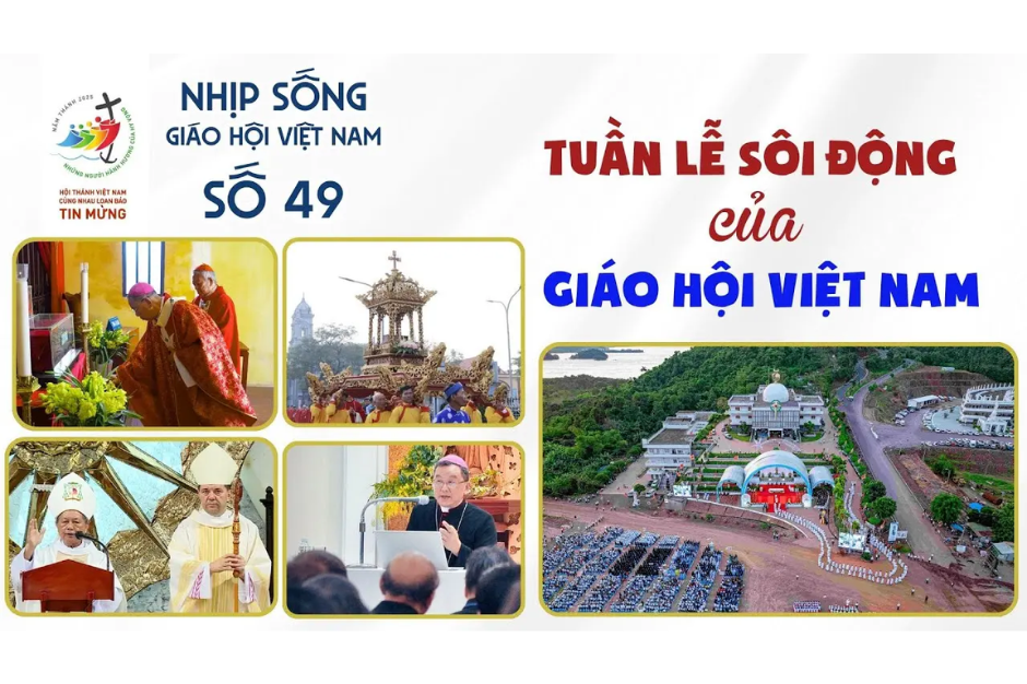 Tuần lễ sôi động của Giáo hội Việt Nam - Nhịp sống Giáo hội Việt Nam số 49 (23/11-30/11/2025)