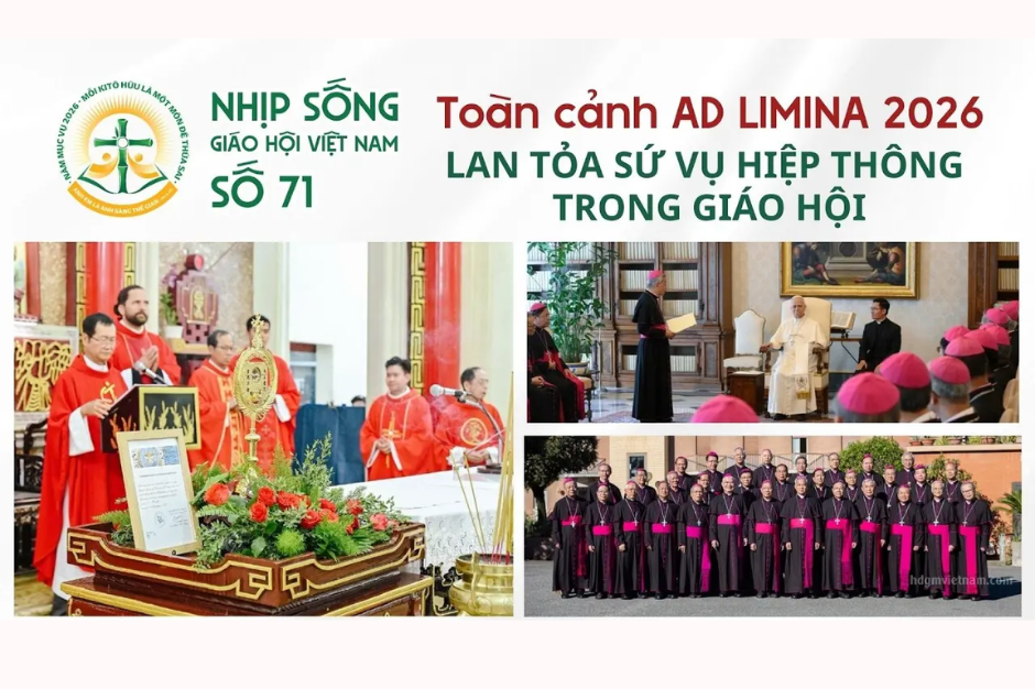 Toàn cảnh Ad Limina 2026 - Lan tỏa sứ vụ hiệp thông trong xã hội - Nhịp sống Giáo hội Việt Nam số 71 (21/4/2026 - 27/4/2026)