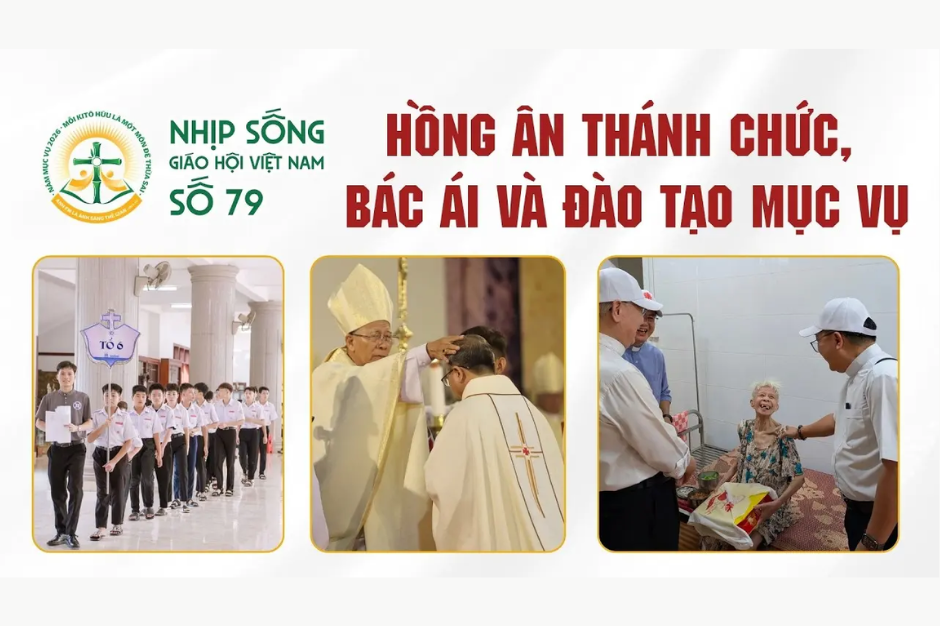 Hồng ân Thánh chức, Bác ái và Đào tạo Mục vụ: Nhịp sống Giáo hội Việt Nam số 79 (16/6/2026 - 22/6/2026)