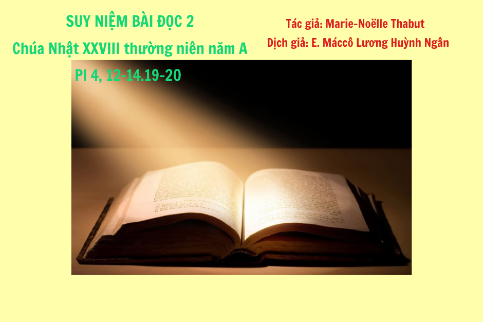 Suy niệm Bài đọc 2 - Chúa Nhật XXVIII thường niên năm A - Pl 4, 12-14.19-20 - Sử dụng của cải