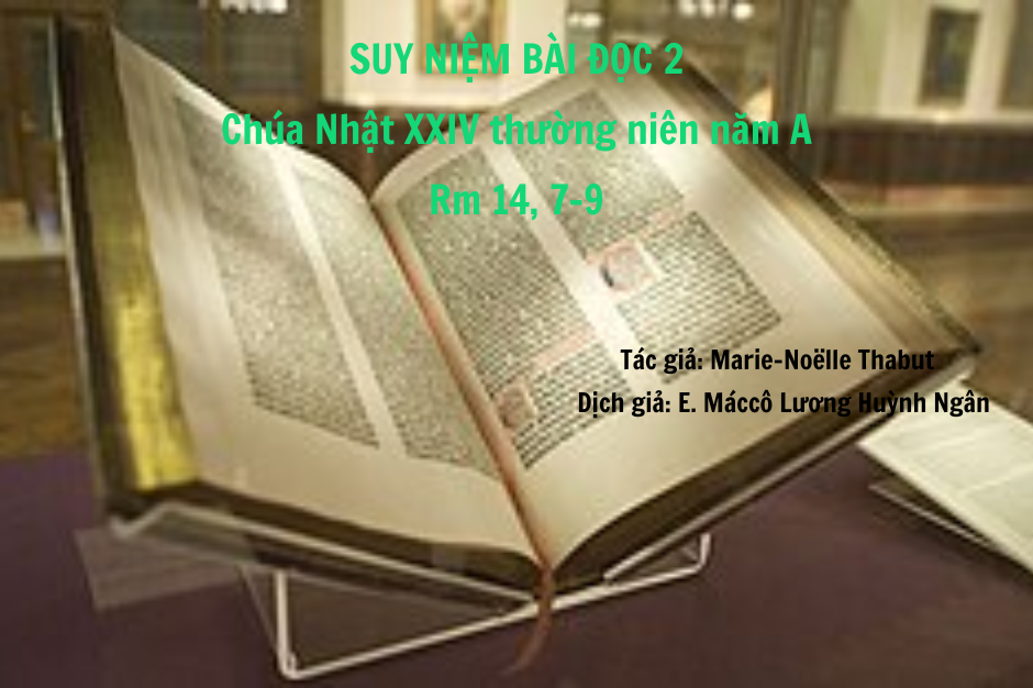 Suy niệm Bài đọc 2 - Chúa Nhật XXIV thường niên năm A - Rm 14, 7-9 - Chu toàn Lề luật