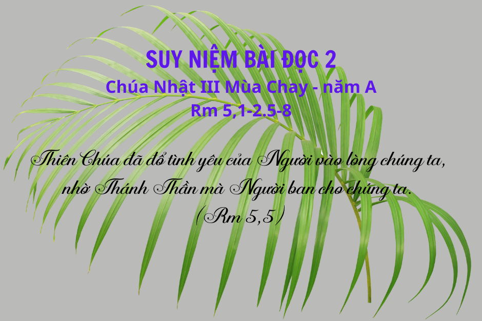 Suy niệm bài đọc II - Chúa Nhật III Mùa Chay năm A - Rm 5, 1-2.5-8: Ân ban nhưng không