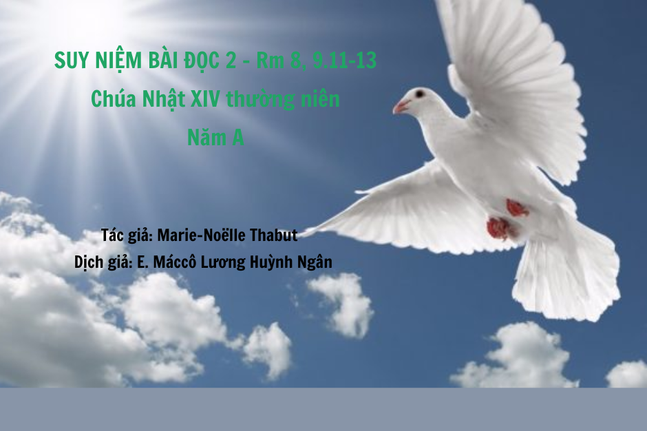 Suy niệm Bài đọc 2 - Chúa Nhật XIV thường niên năm A - Rm 8, 9.11-13 - Sống theo Thần Khí