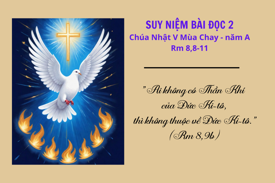 Suy niệm Bài đọc 2 - Chúa Nhật V Mùa Chay năm A - Rm 8,8-11 - Sống theo Thần Khí