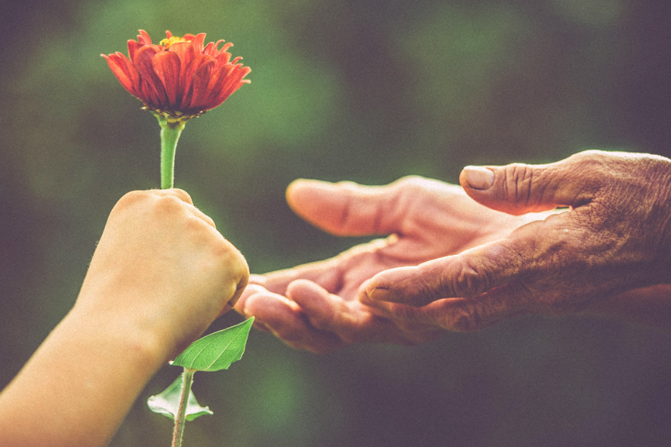 Đừng để sự tử tế ngủ quên