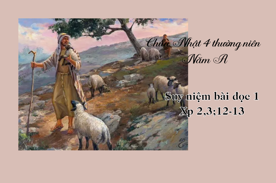 Suy niệm bài đọc I - Chúa Nhật IV thường niên năm A - Xp 2,3;12-13: Nương ẩn nơi Danh Chúa